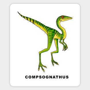 Compsognathus Magnet